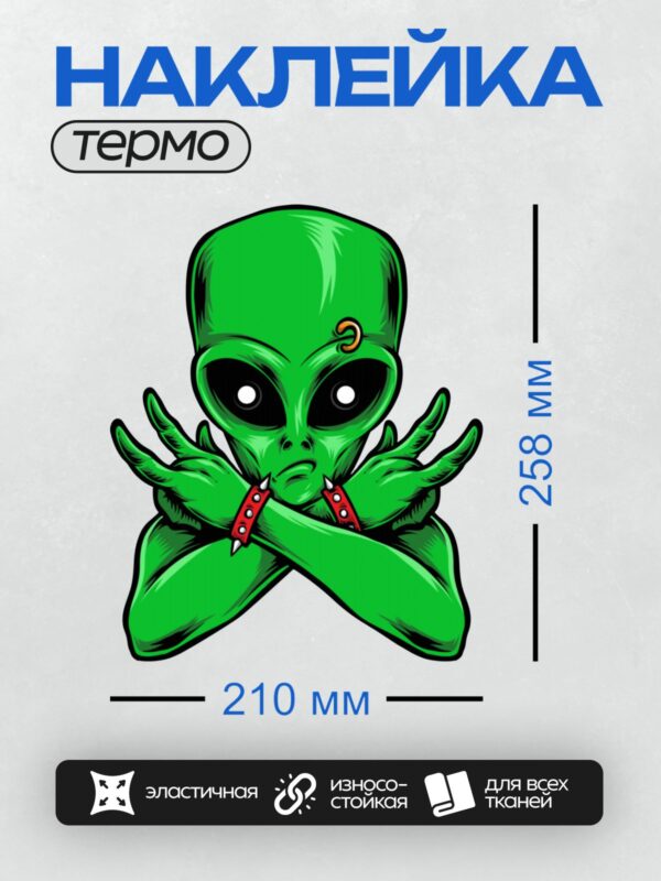 Термонаклейка на одежду DTF / Зелёный инопланетянин с браслетами и божьей коровкой.