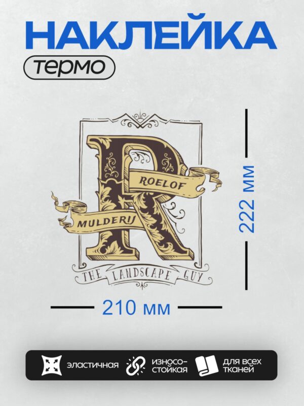 Термонаклейка на одежду DTF / Стилизованная буква "R" с декоративными элементами.