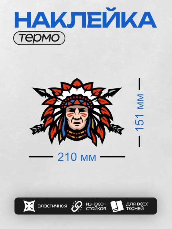 Термонаклейка на одежду DTF / Стилизованный индеец в головном уборе с яркими перьями.