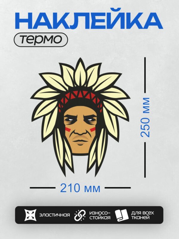 Термонаклейка на одежду DTF / Лицо индейца в головном уборе с белыми перьями.