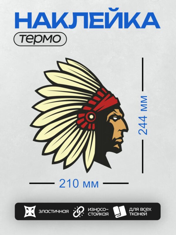 Термонаклейка на одежду DTF / Индейский вождь в головном уборе из перьев.
