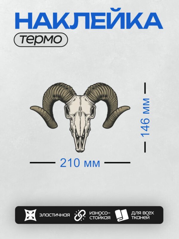Термонаклейка на одежду DTF / Череп барана с массивными изогнутыми рогами.
