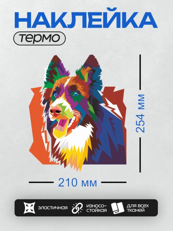 Термонаклейка на одежду DTF / Яркая собака в стиле поп-арт с разноцветной шерстью.