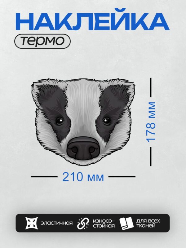 Термонаклейка на одежду DTF / Белая мордочка барсука с черными полосами вокруг глаз.