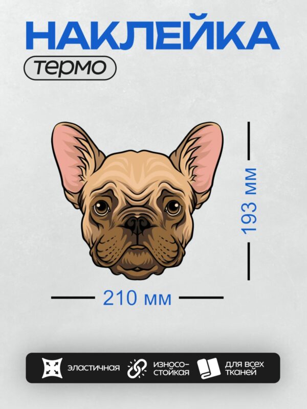 Термонаклейка на одежду DTF / Морда французского бульдога с большими ушами.