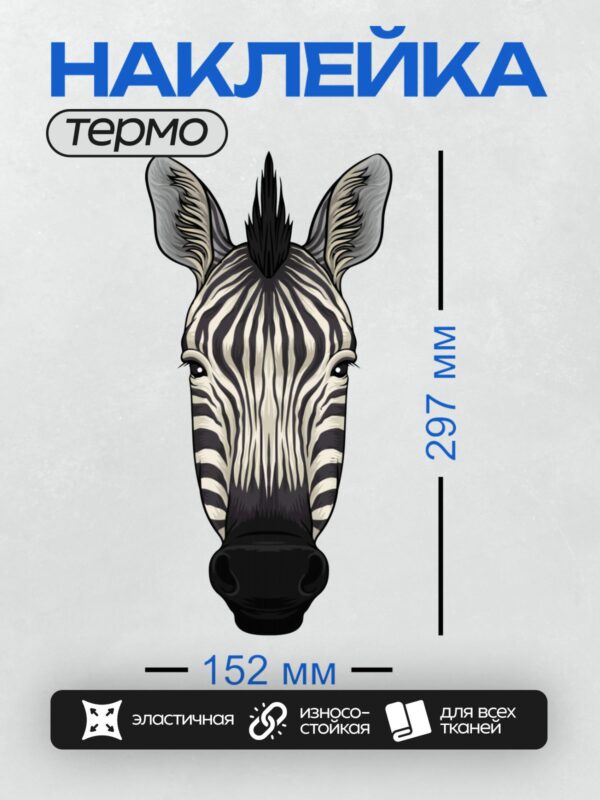 Термонаклейка на одежду DTF / Голова зебры с четкими черными и белыми полосами.