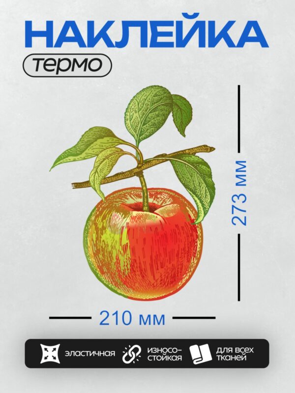 Термонаклейка на одежду DTF / Красное яблоко с зелёными листьями на ветке.