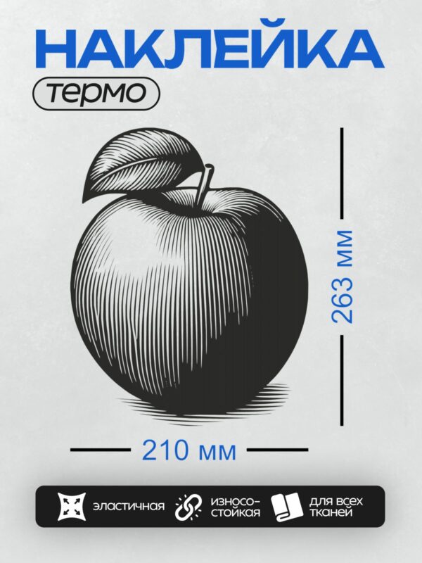 Термонаклейка на одежду DTF / Черно-белое яблоко с листом, графика.