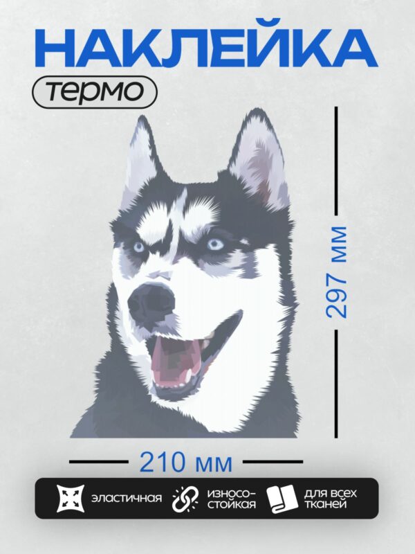 Термонаклейка на одежду DTF / На изображении изображена собака породы хаски. Она выглядит энергичной и жизнерадостной, с открытой пастью, как будто улыбается. У хаски ярко-голубые глаза и черно-белая шерсть, что является характерной чертой этой породы.