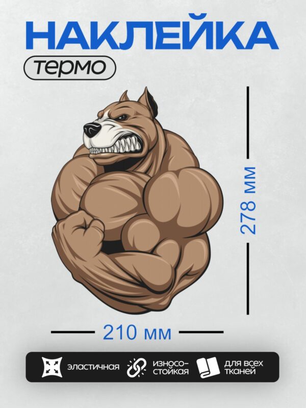 Термонаклейка на одежду DTF / Мускулистый питбуль в агрессивной позе с поднятыми руками.