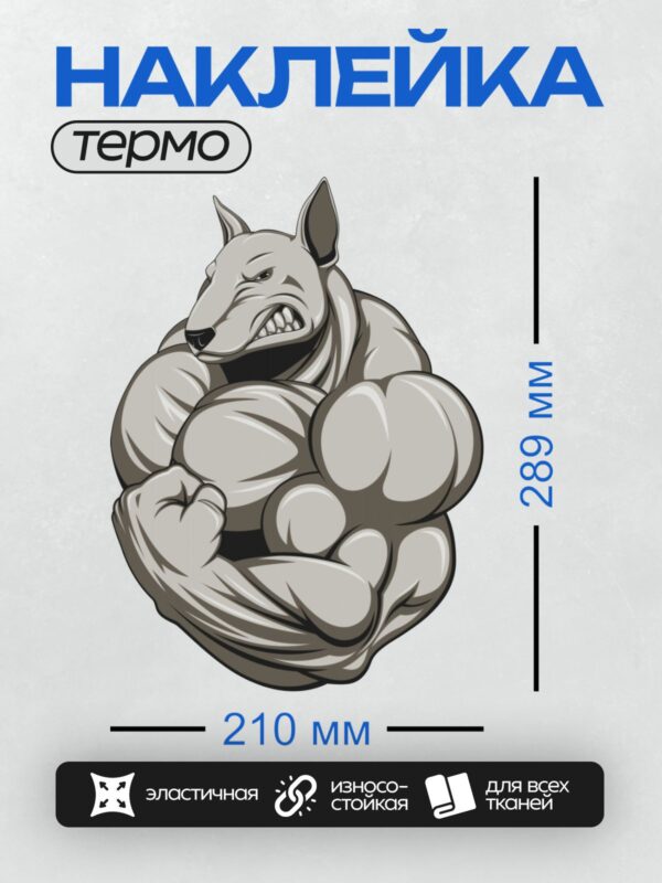 Термонаклейка на одежду DTF / Мускулистая собака с головой лисы в мультяшном стиле.