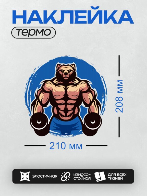 Термонаклейка на одежду DTF / Мускулистый медведь с гантелями на синем фоне.