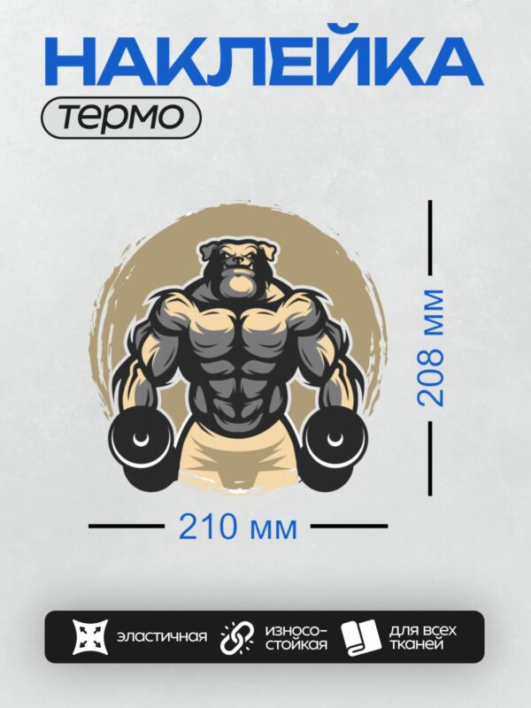 Термонаклейка на одежду DTF / Мускулистый бульдог с гантелями, мультяшный стиль.