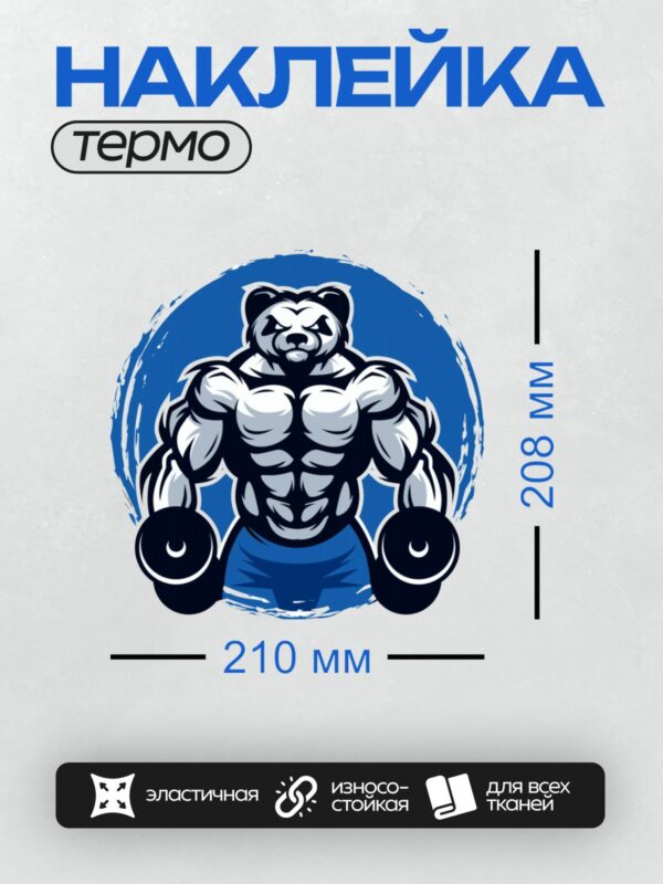 Термонаклейка на одежду DTF / На изображении изображена накаченная панда с гантелями.