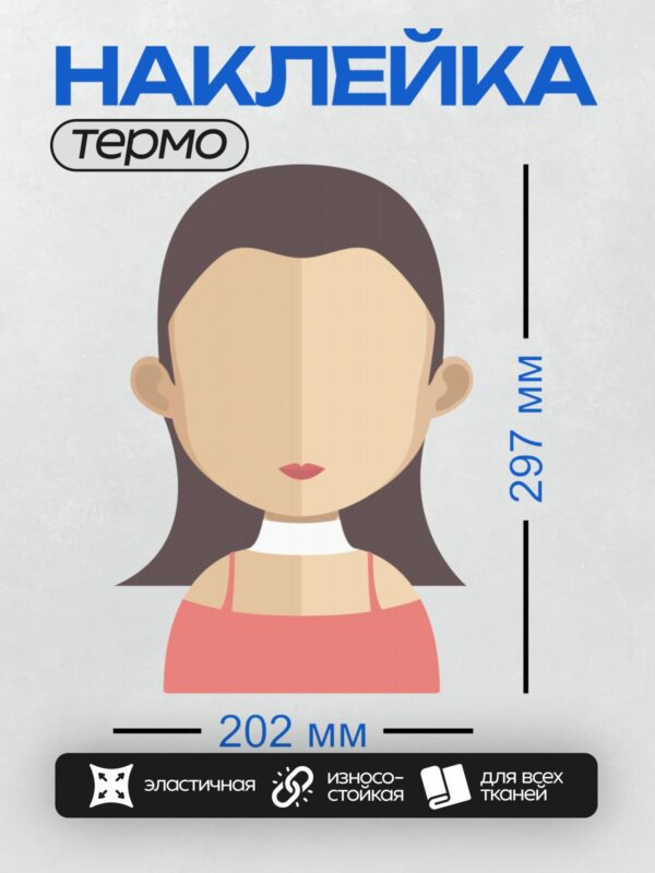 Термонаклейка на одежду DTF / Стилизованное изображение женщины с черными волосами в красном топе.