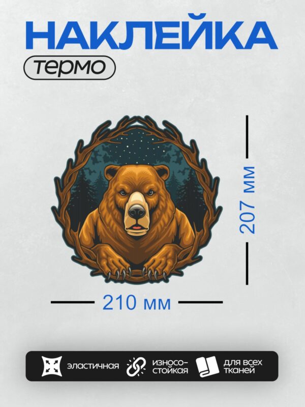 Термонаклейка на одежду DTF / Медведь в лесу ночью, окружённый ветвями.