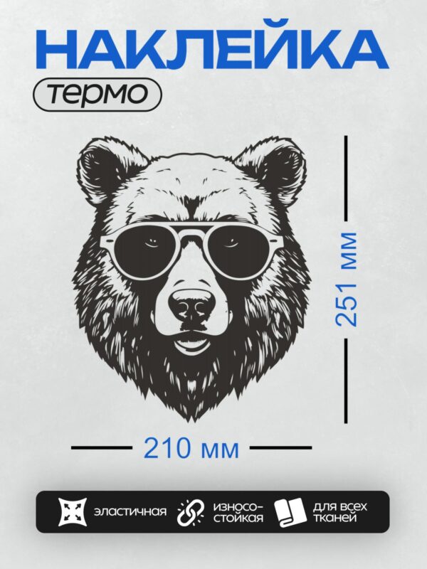 Термонаклейка на одежду DTF / Стилизованный медведь в больших круглых очках.