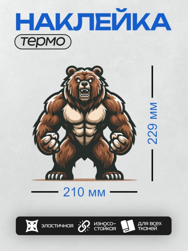 Термонаклейка на одежду DTF / Мускулистый медведь с грозным выражением лица.