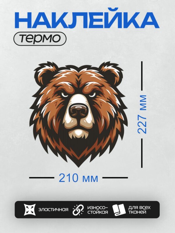 Термонаклейка на одежду DTF / Стилизованная голова медведя в графическом стиле.