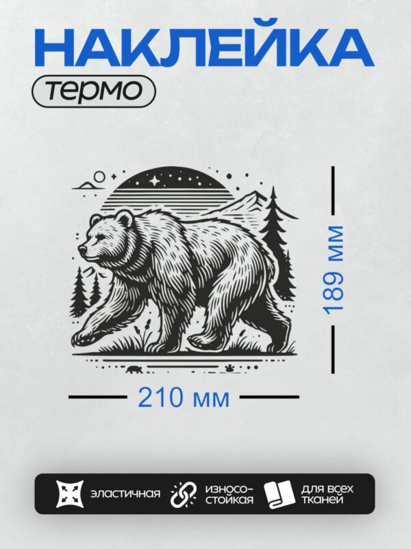 Термонаклейка на одежду DTF / Черно-белый медведь в лесу под звездным небом.