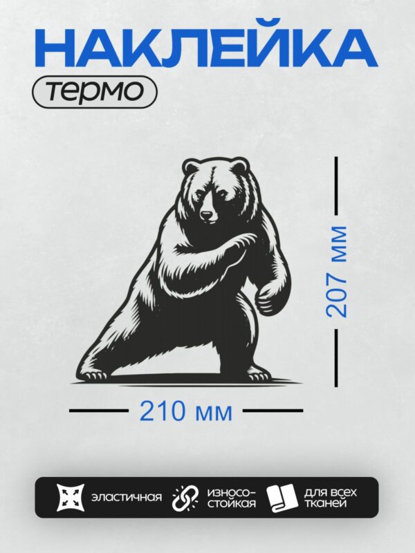 Термонаклейка на одежду DTF / Черно-белый медведь в стиле векторной графики.