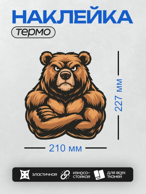 Термонаклейка на одежду DTF / Мускулистый медведь с сердитым выражением морды.