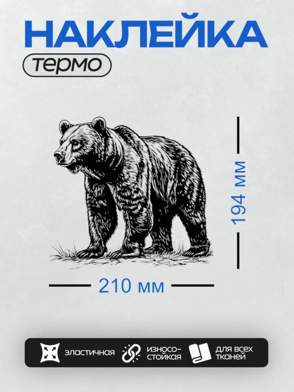 Термонаклейка на одежду DTF / Черно-белый медведь в графическом стиле.