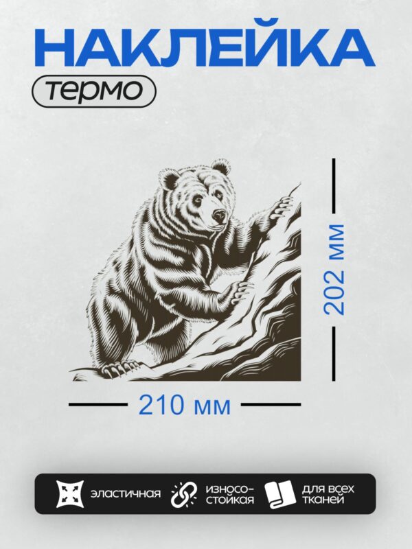 Термонаклейка на одежду DTF / Черно-белый медведь гризли, сидящий на ветке дерева.