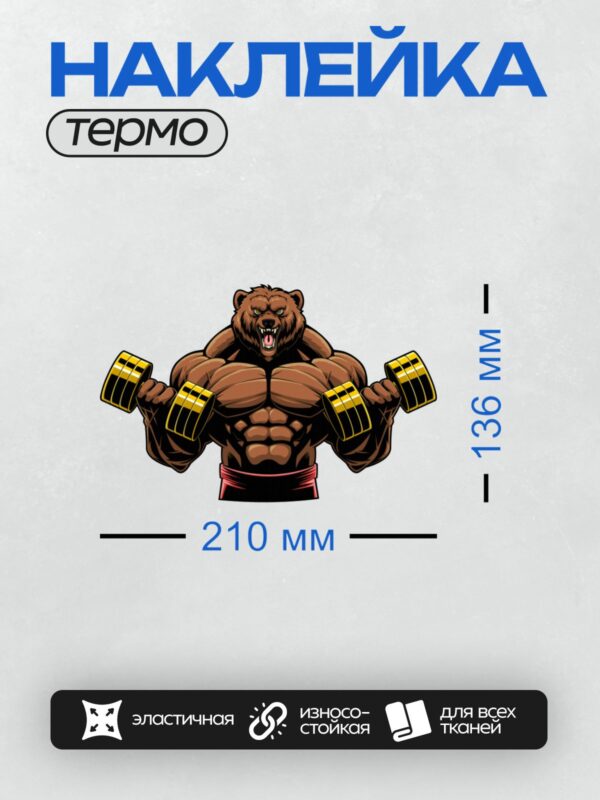 Термонаклейка на одежду DTF / Мускулистый медведь с гантелями, яркий и энергичный.
