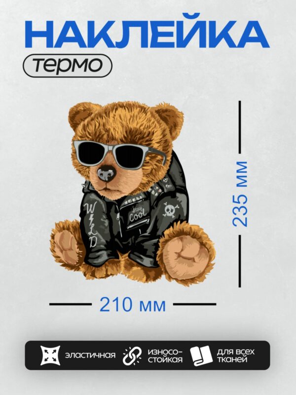 Термонаклейка на одежду DTF / Плюшевый медведь в стиле рок-звезды с очками.