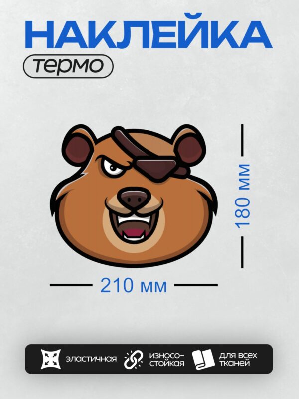 Термонаклейка на одежду DTF / Мультяшный медведь с пиратской повязкой на глазу.