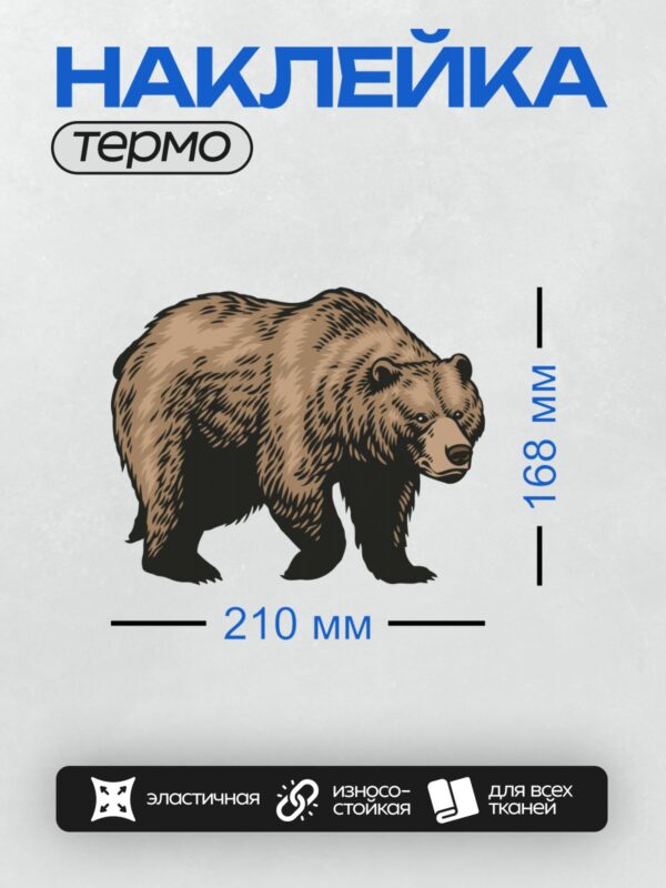 Термонаклейка на одежду DTF / Бурый медведь, изображённый в векторном стиле.