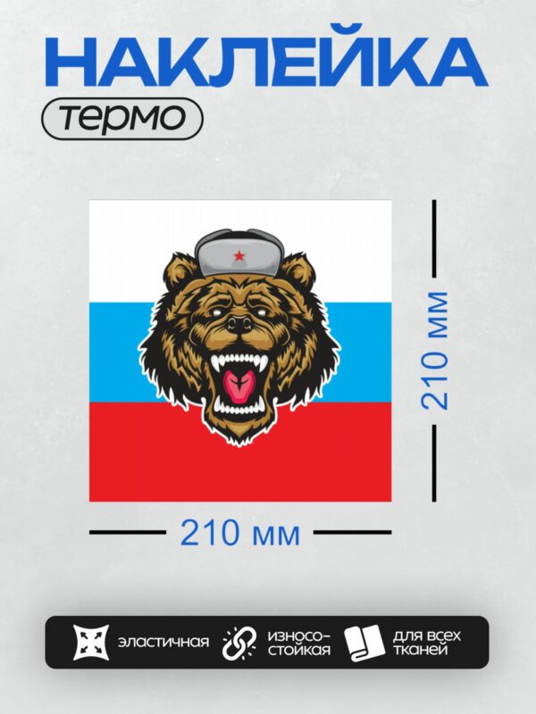 Термонаклейка на одежду DTF / Голова медведя в шапке-ушанке на фоне флага.