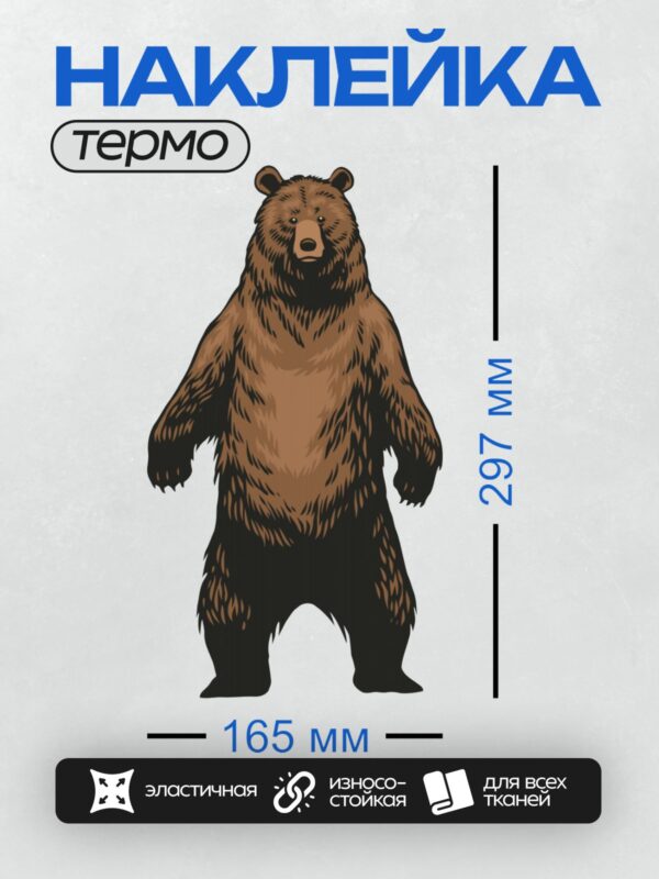 Термонаклейка на одежду DTF / Бурый медведь стоит на задних лапах.