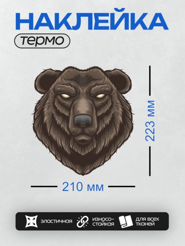 Термонаклейка на одежду DTF / Стилизованная голова медведя с яркими глазами.