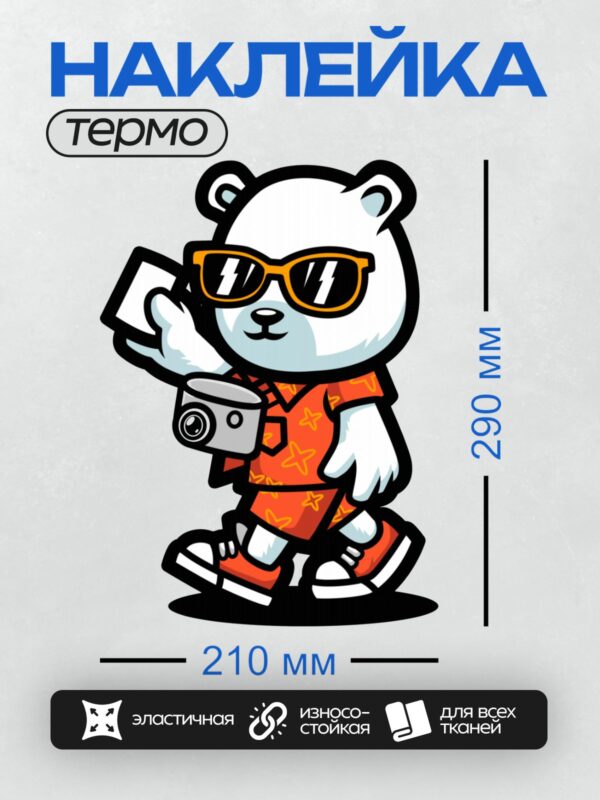 Термонаклейка на одежду DTF / Мультяшный медведь в красной одежде с фотоаппаратом.