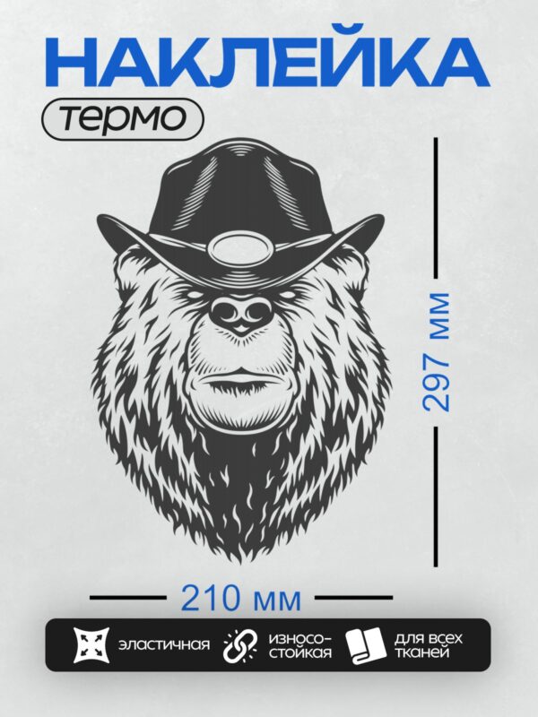 Термонаклейка на одежду DTF / Стилизованный медведь в ковбойской шляпе.