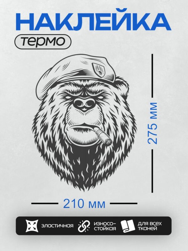 Термонаклейка на одежду DTF / Стилизованный медведь в шляпе с сигарой.