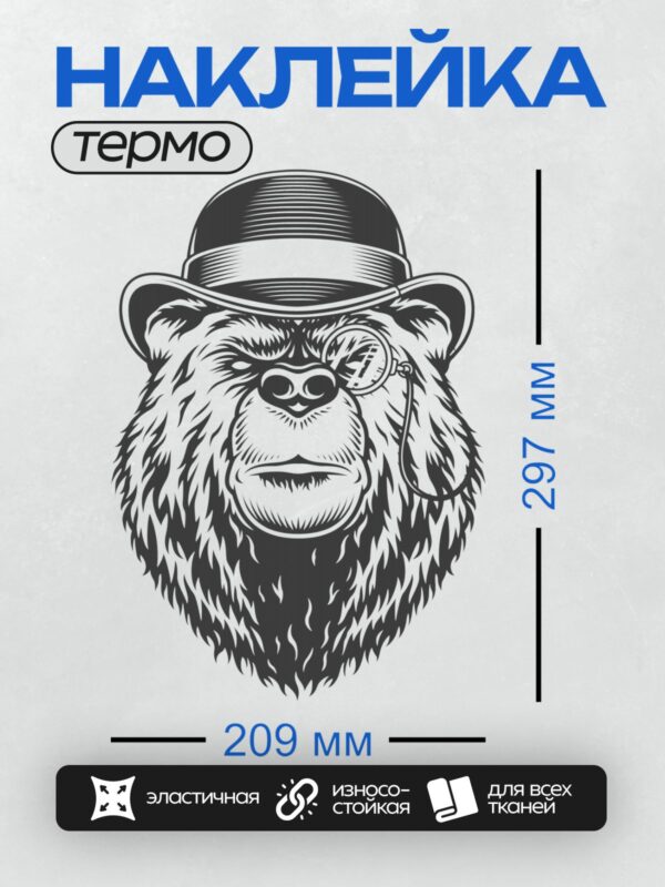 Термонаклейка на одежду DTF / Медведь в шляпе и с моноклем, стилизованный рисунок.