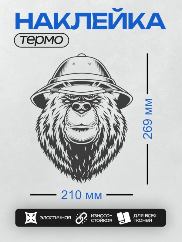 Термонаклейка на одежду DTF / Стилизованный медведь в шляпе исследователя.