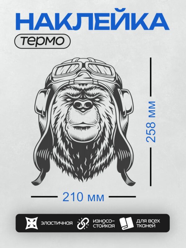 Термонаклейка на одежду DTF / Стилизованный медведь в очках пилота.