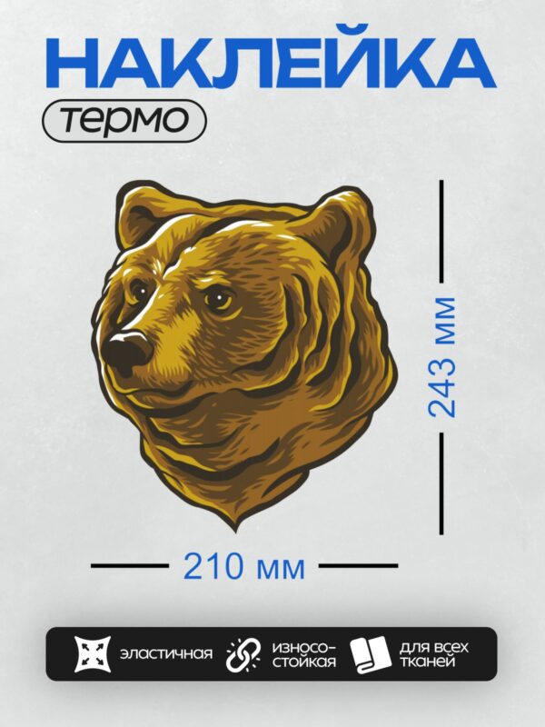 Термонаклейка на одежду DTF / Голова медведя в мультяшном стиле, жёлто-коричневые тона.