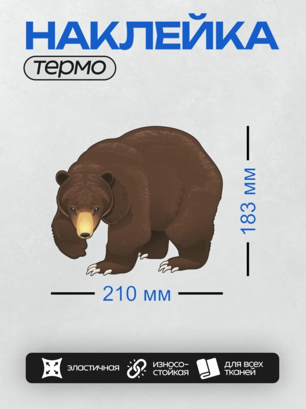 Термонаклейка на одежду DTF / Мультяшный бурый медведь с яркими глазами и когтями.