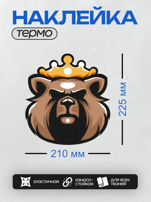 Термонаклейка на одежду DTF / Стилизованный медведь в золотой короне.