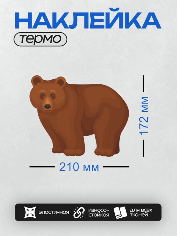 Термонаклейка на одежду DTF / Бурый медведь с добрым выражением лица.