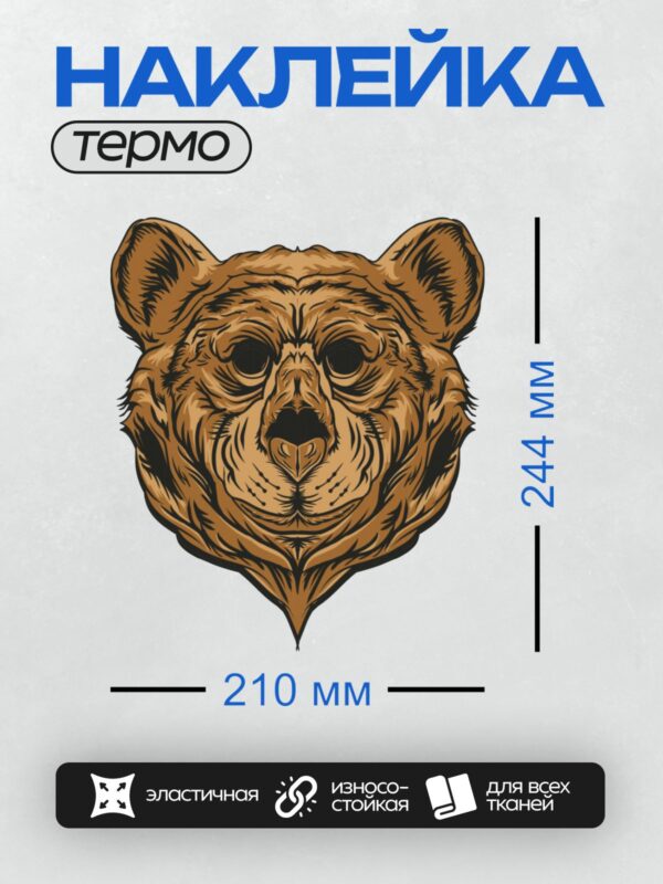 Термонаклейка на одежду DTF / Стилизованная голова бурого медведя с большими ушами.