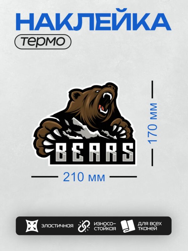 Термонаклейка на одежду DTF / Рычащий бурый медведь, логотип "BEARS".
