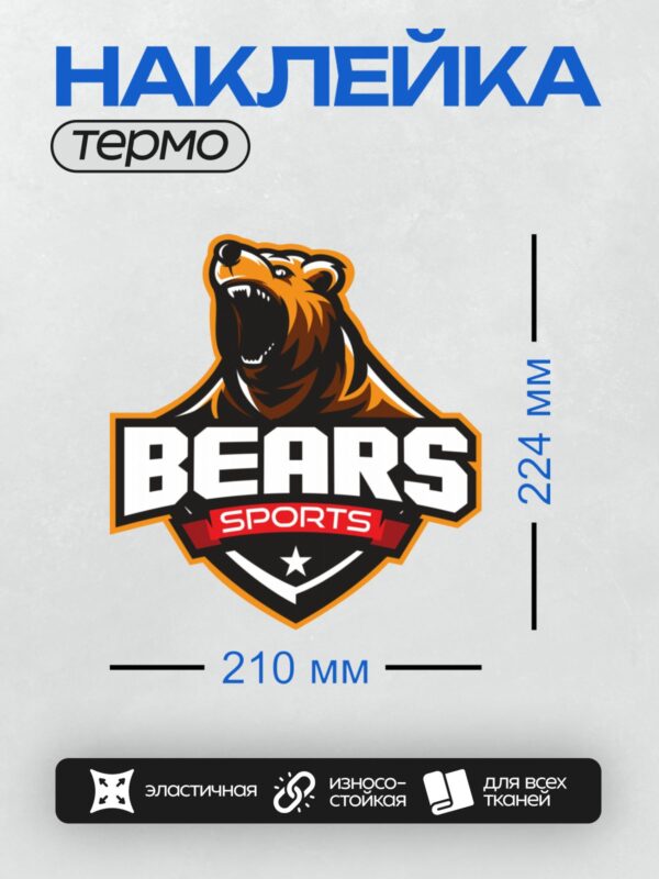 Термонаклейка на одежду DTF / Логотип с медведем и надписью "BEARS SPORTS".