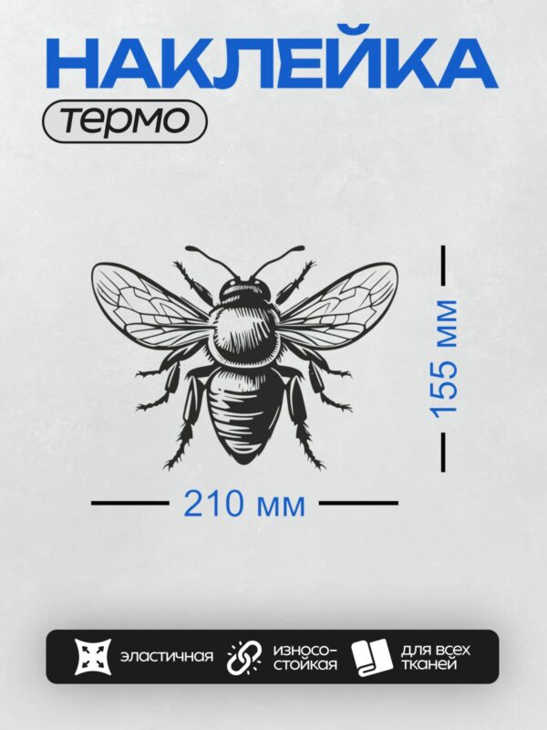 Термонаклейка на одежду DTF / Черно-белая пчела, стилизованный рисунок.