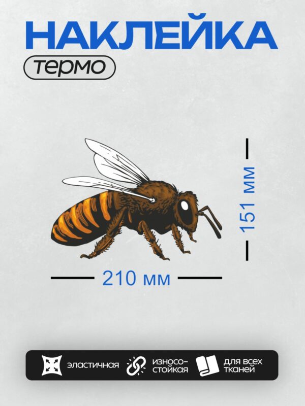 Термонаклейка на одежду DTF / Пчела с яркими оранжевыми полосами на белом фоне.